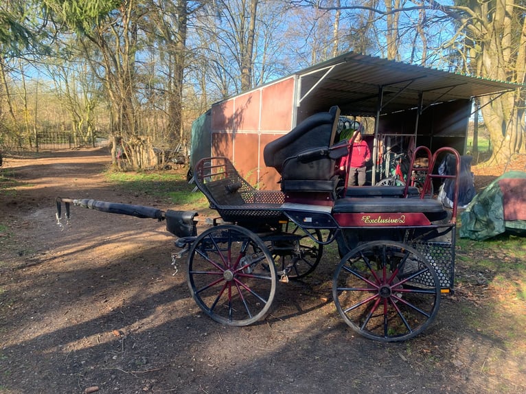 Hansmeier Marathonwagen koets voor tweespannen trainingswagen