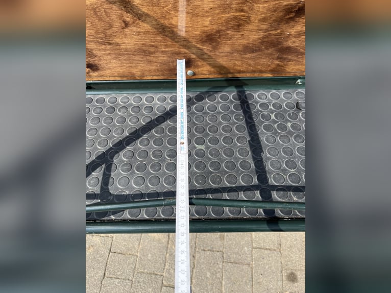 Top cross-country horse from the brand KUBE’s Kutschenparadies