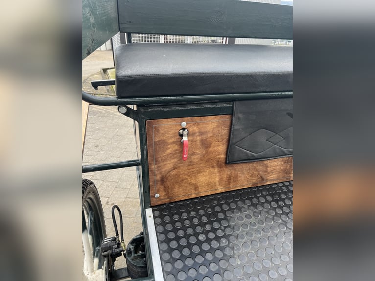 Top cross-country horse from the brand KUBE’s Kutschenparadies