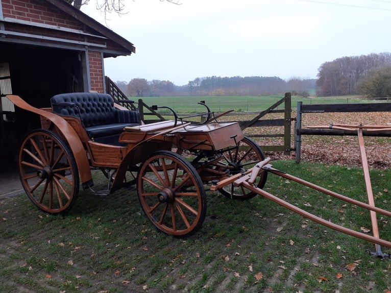 Grote koets voor bruiloften