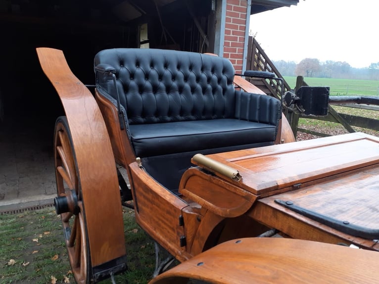 Grote koets voor bruiloften