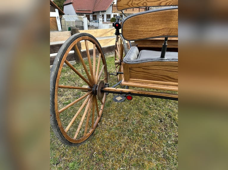 Historische Amerikaanse buggy (bouwjaar 1914) – gerestaureerd en rijvaardig – met wagenpaspoort