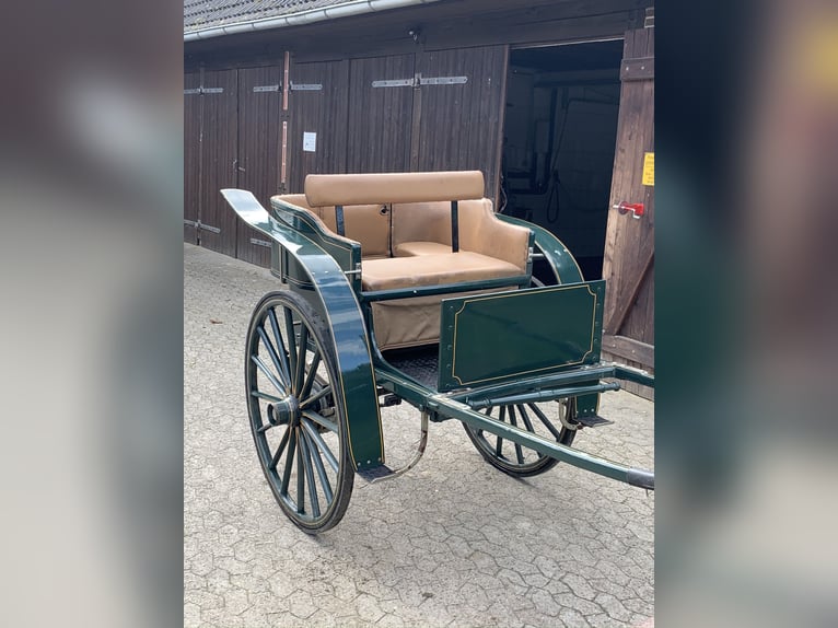 Historische koets - gouvernantewagen