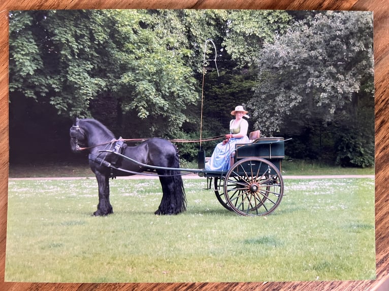 Historische koets - gouvernantewagen