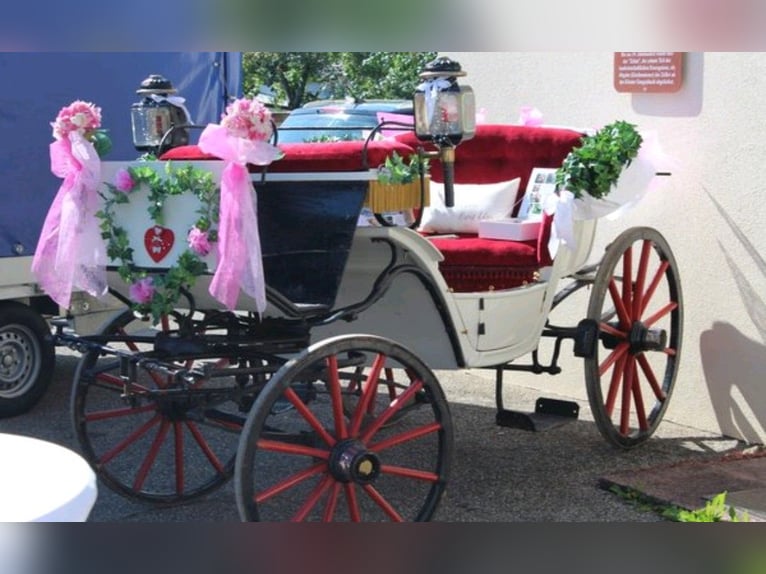 Historische koets inclusief decoratie