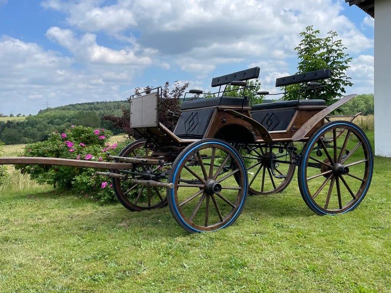 Historischer Jagdwagen/Kutsche 