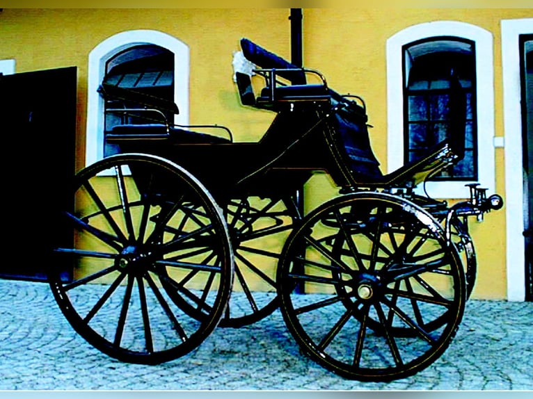 Historischer ungarischer Jagdwagen