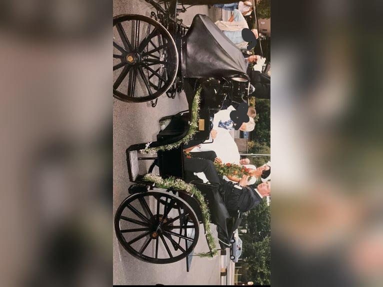 Hochzeitskutsche top jägerwagen