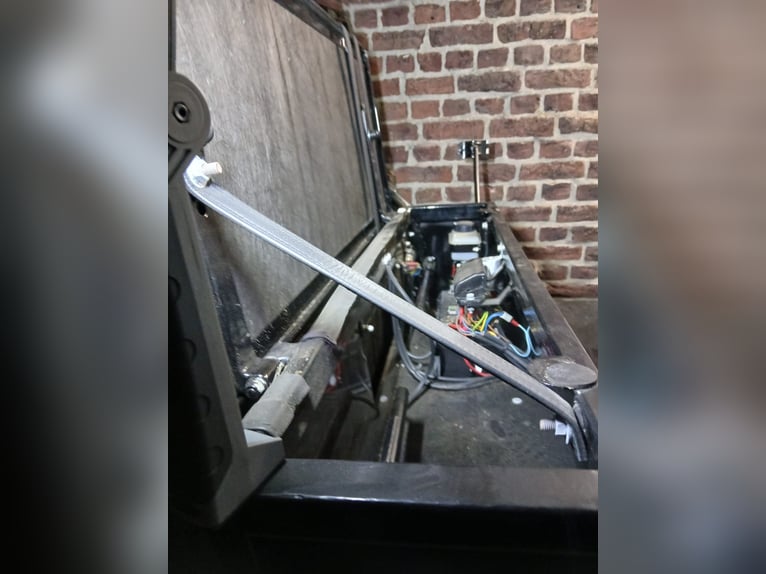 Landauer Paarden Koets Rijtuig Grand Luxe