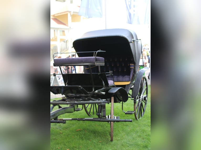 Viktoria Kutsche 1895 