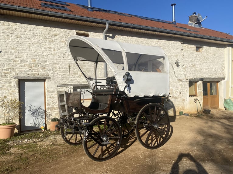 Sehr schöne Kutsche im Stil von einem Planwagen zu verkaufen / calèche