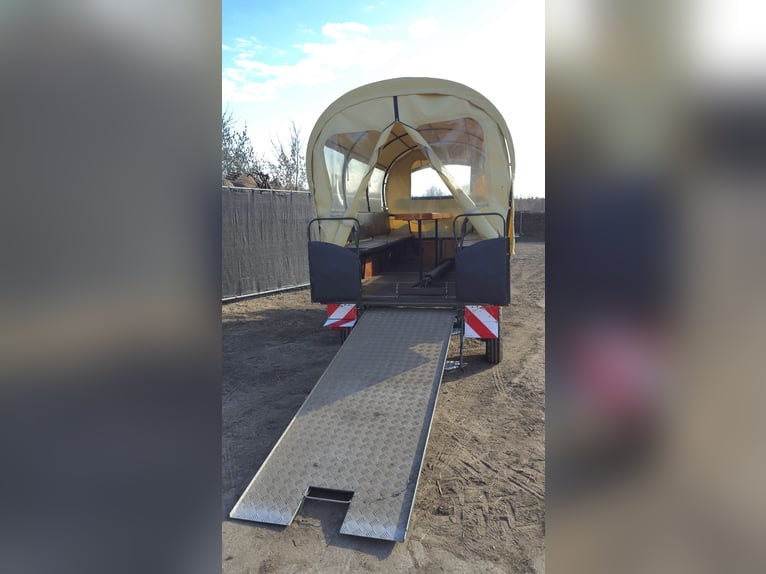 Wagen voor een tochtje in de natuur te koop