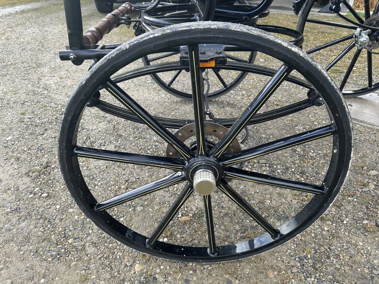 Dressuurwagen Spider enkelspanner