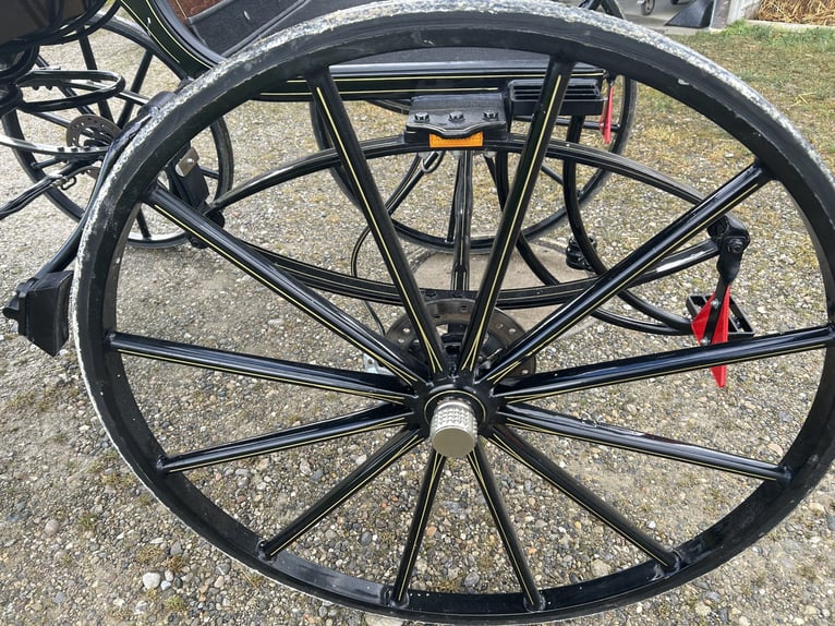 Dressuurwagen Spider enkelspanner