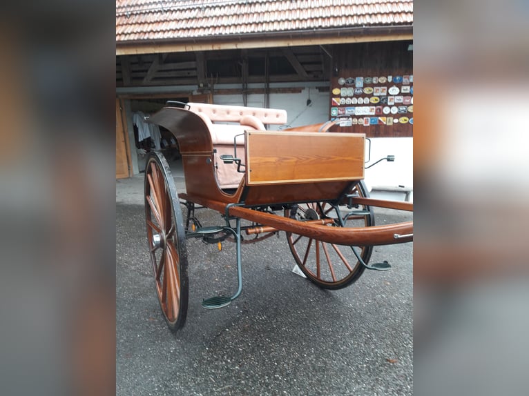 Eénpaard- en tweespannen tandem Kühnle Rally-wagen