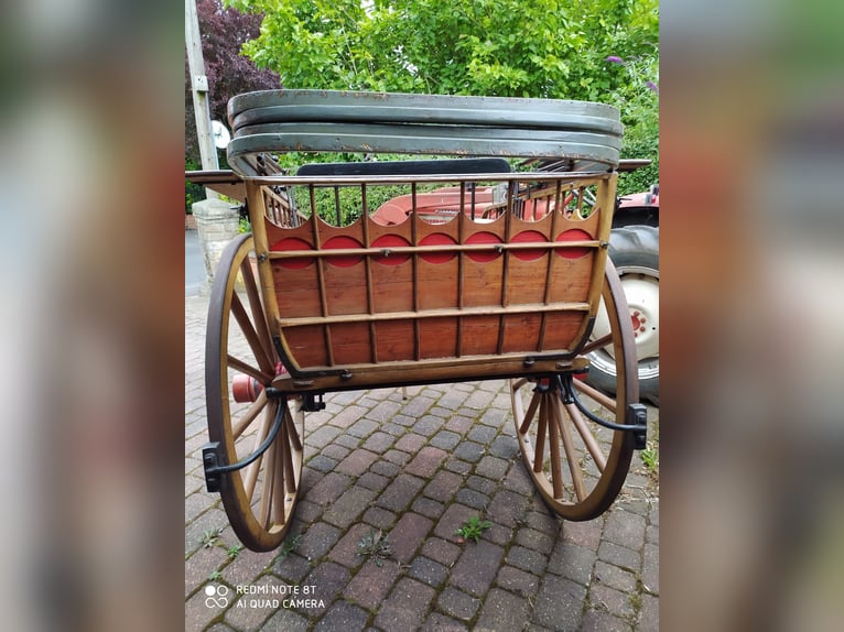 Franse 1800s gravin koets