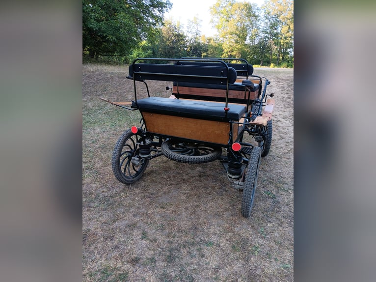 Jagdwagen Kutsche mit Geschirr 