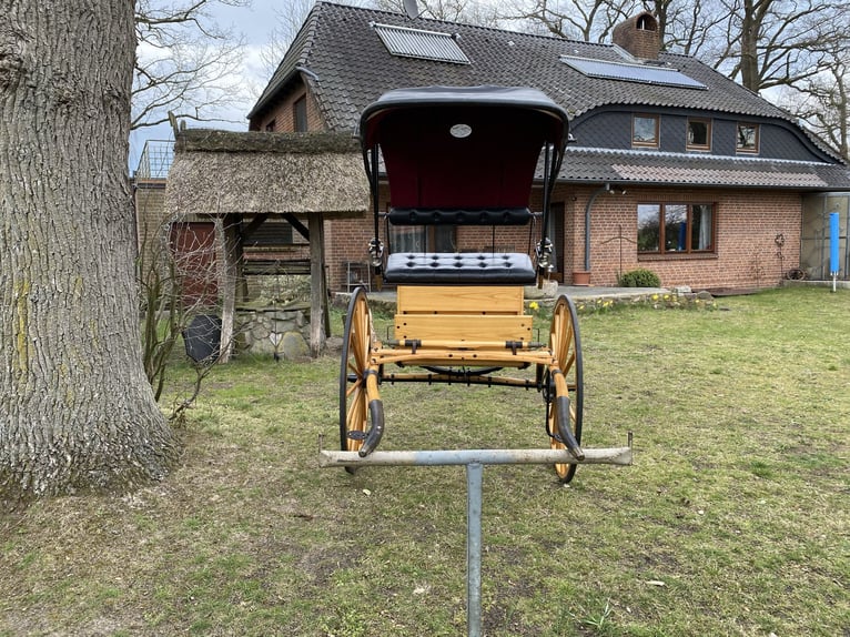 Ladies Cart / American Buggy / Einspänner-Kutsche – top gepflegter Klassiker