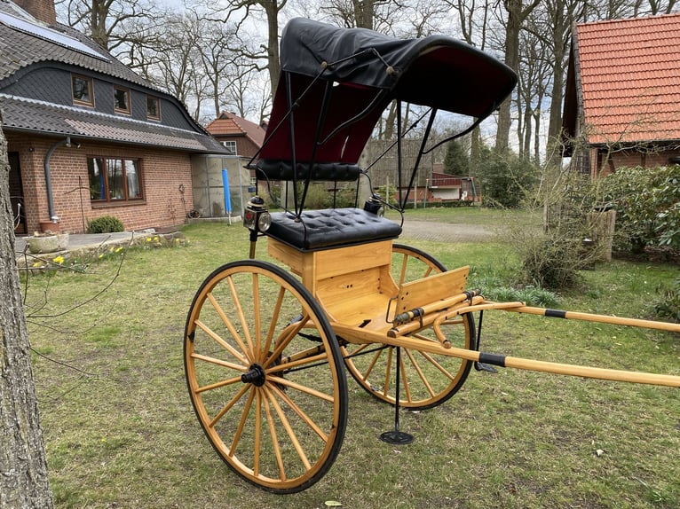 Ladies Cart / American Buggy / Einspänner-Kutsche – top gepflegter Klassiker