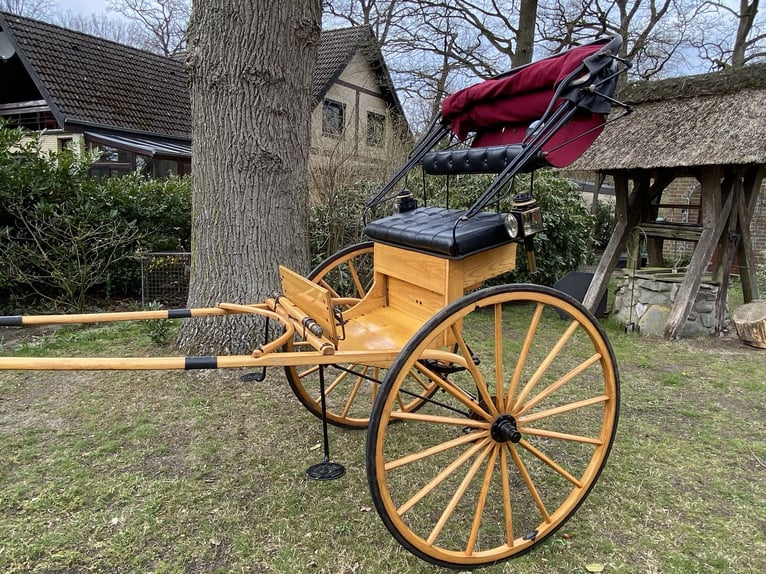 Ladies Cart / American Buggy / Einspänner-Kutsche – top gepflegter Klassiker