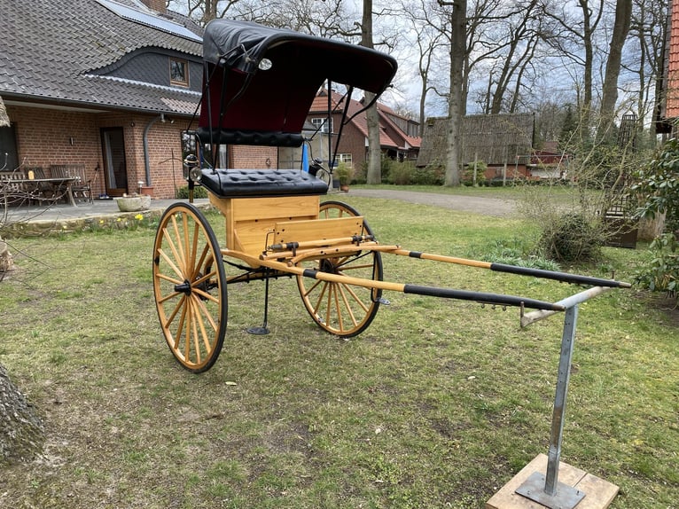 Ladies Cart / American Buggy / Einspänner-Kutsche – top gepflegter Klassiker