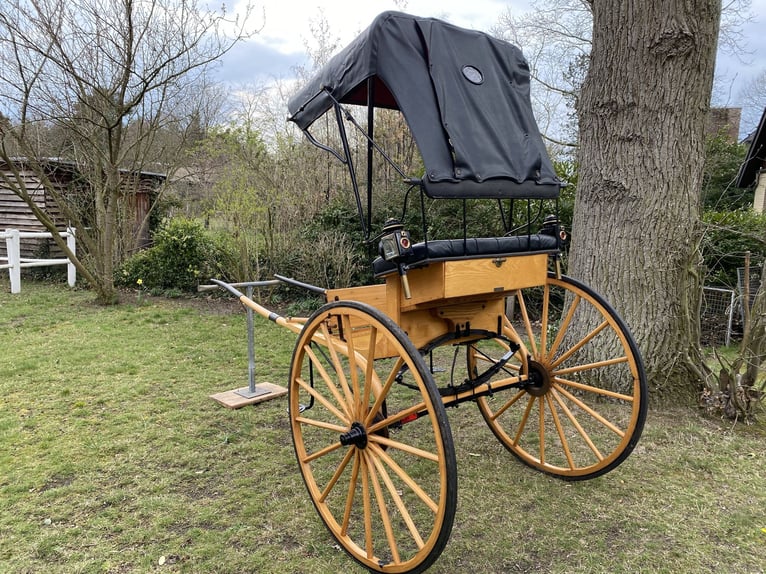 Ladies Cart / American Buggy / Einspänner-Kutsche – top gepflegter Klassiker
