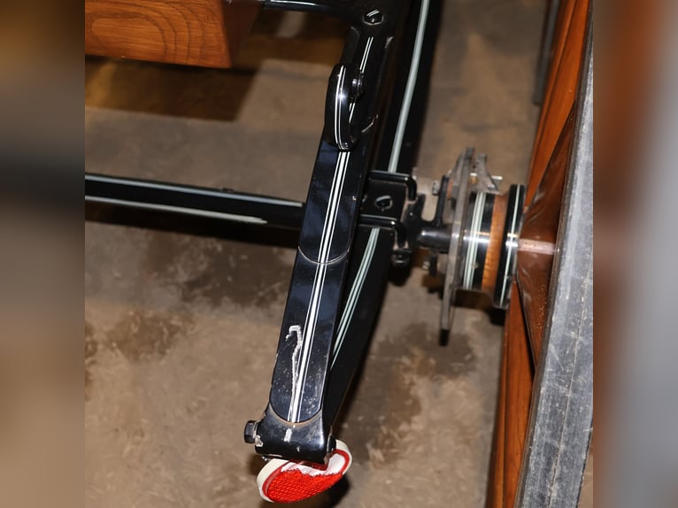 Leitert Doktorwagen Kutsche Scheibenbremsen Leder Holz