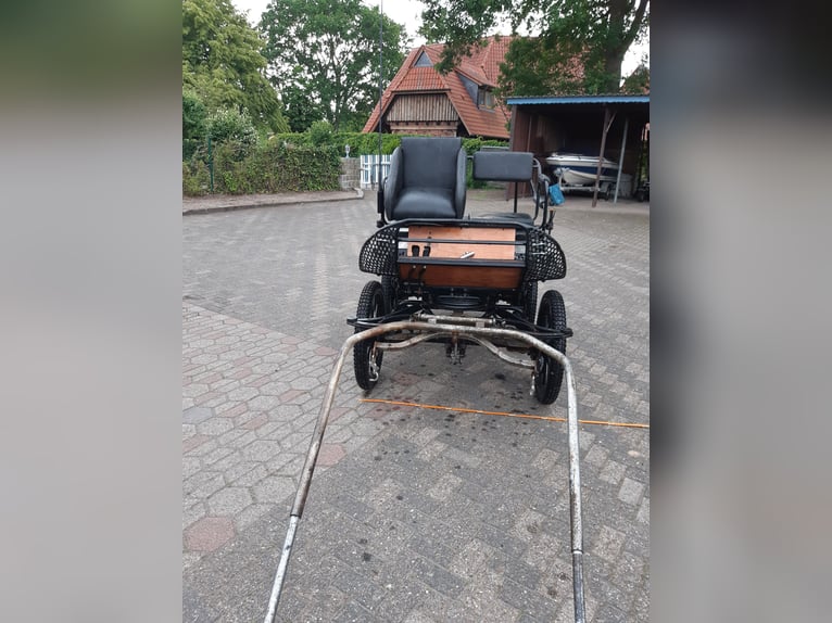 Marathonkoets Kellinghusen