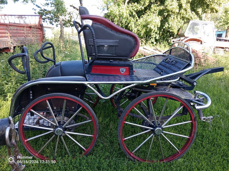 Marathonwagen ECC voor een paar paarden