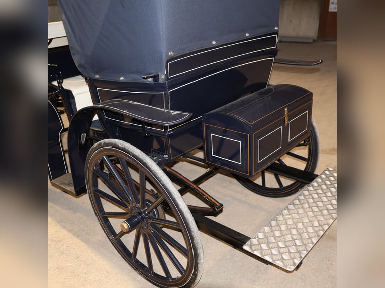 Mylord Kutsche Ein/Zweispänner Scheibenbremsen Trittbrett Schwarz