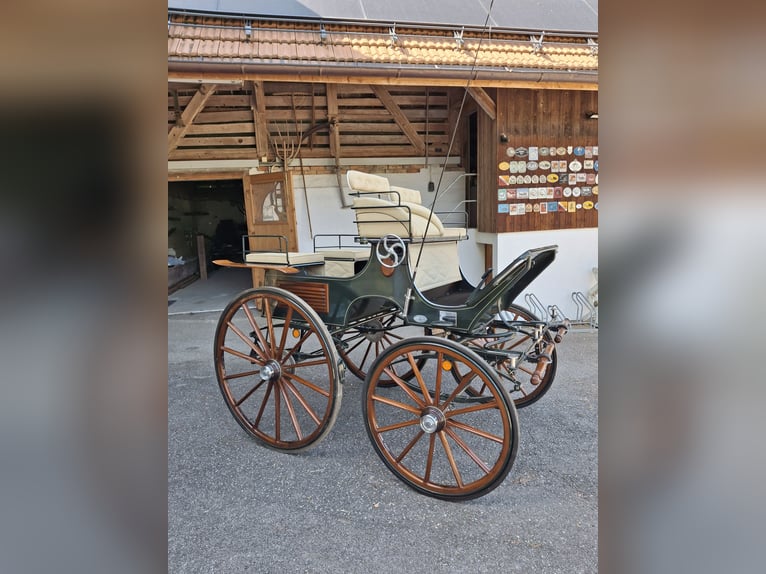 Nieuwwaardige Kühnle tweespanner dressuurwagen