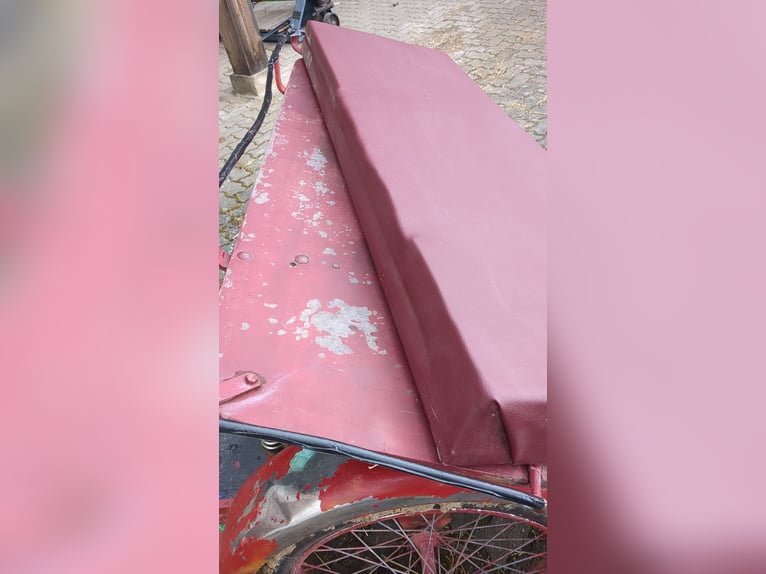 Twee- en vierspanwagen