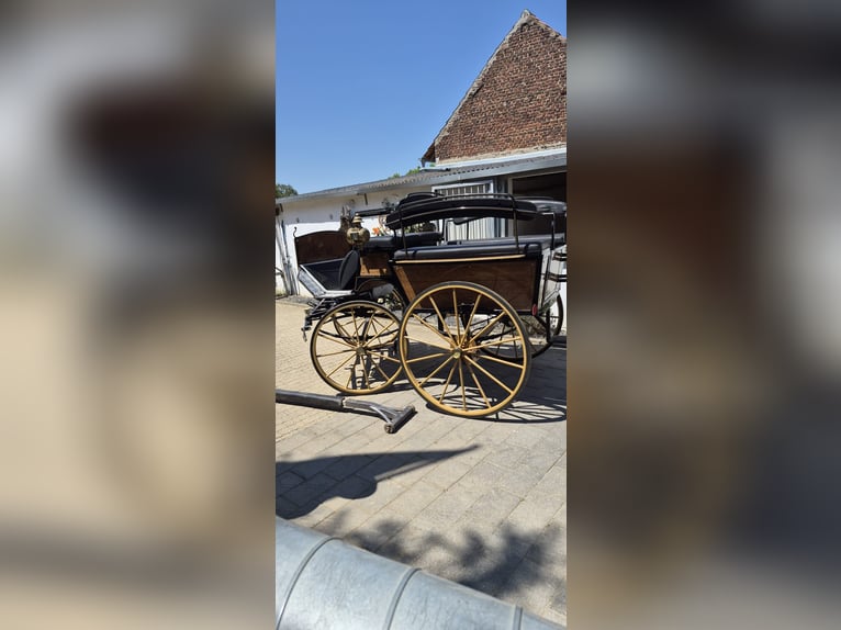 Wagonette voor grote paarden