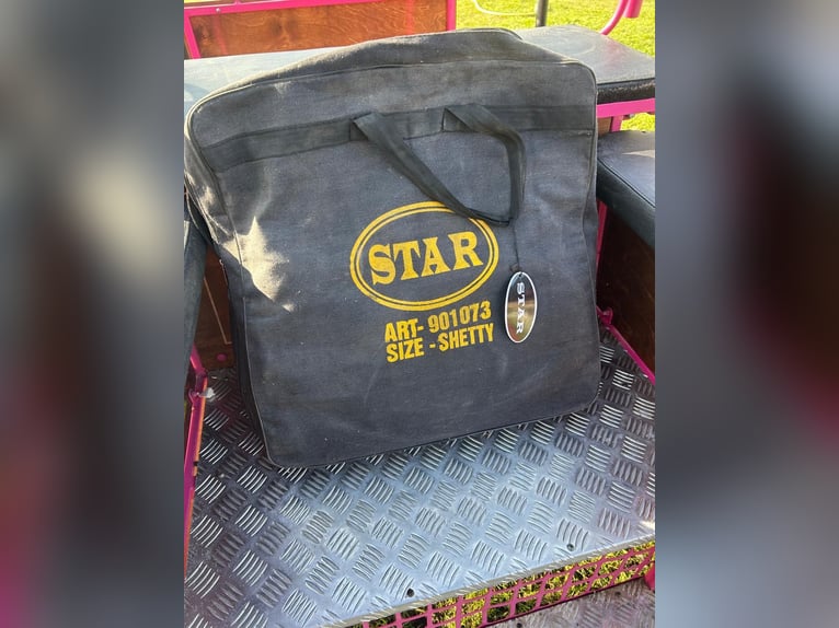 Kleiner Paardekar

(Note: "Kleinpferdkutsche" kann je nach Kontext unterschiedlich interpretiert wer