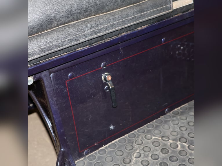 Kühnle Wagonette Kleinpferde Ein/Zweispänner Kutsche