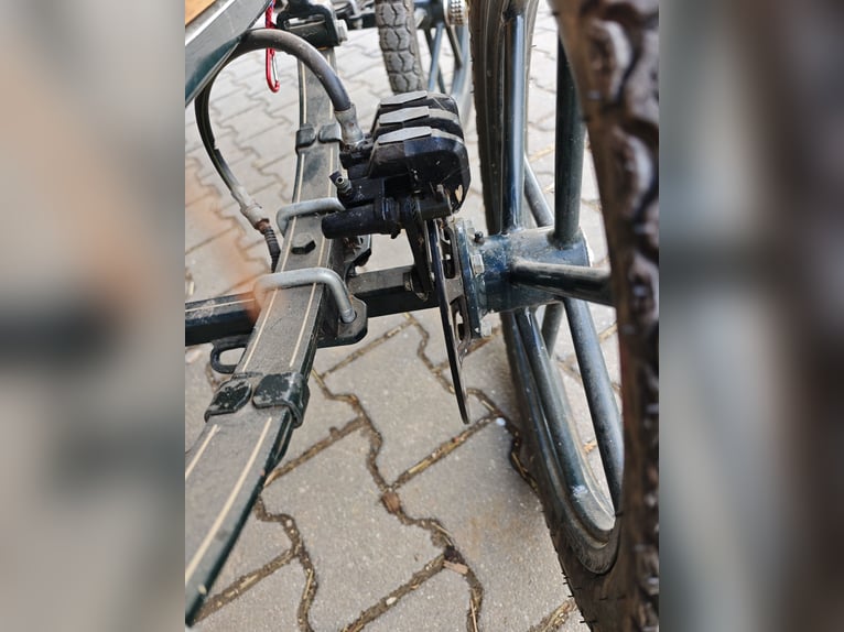 Marathonkutsche für Shetty-Welsh A 