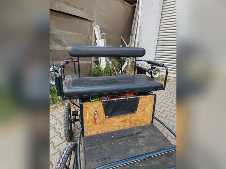 Marathonkutsche für Shetty-Welsh A 