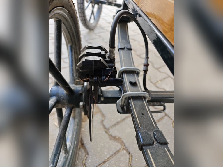 Marathonkutsche für Shetty-Welsh A 