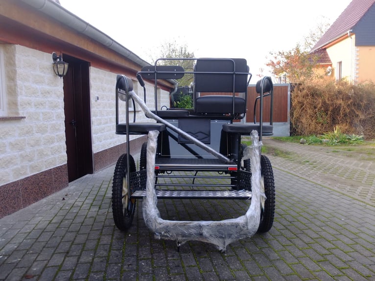 Nieuwe pony- en kleine paardenkoets