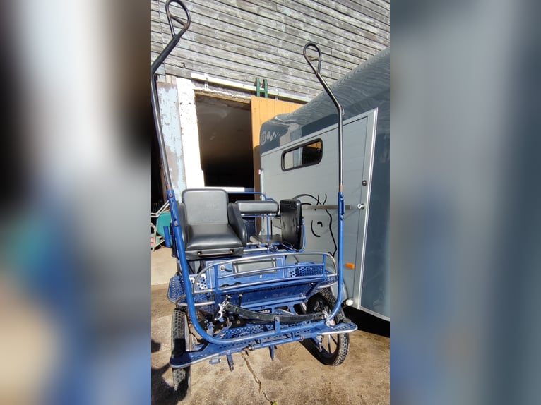 Pferde Kutsche in Top Zustand zu verkaufen - Unfallfrei