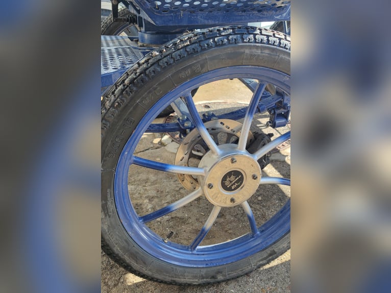 Pferde Kutsche in Top Zustand zu verkaufen - Unfallfrei