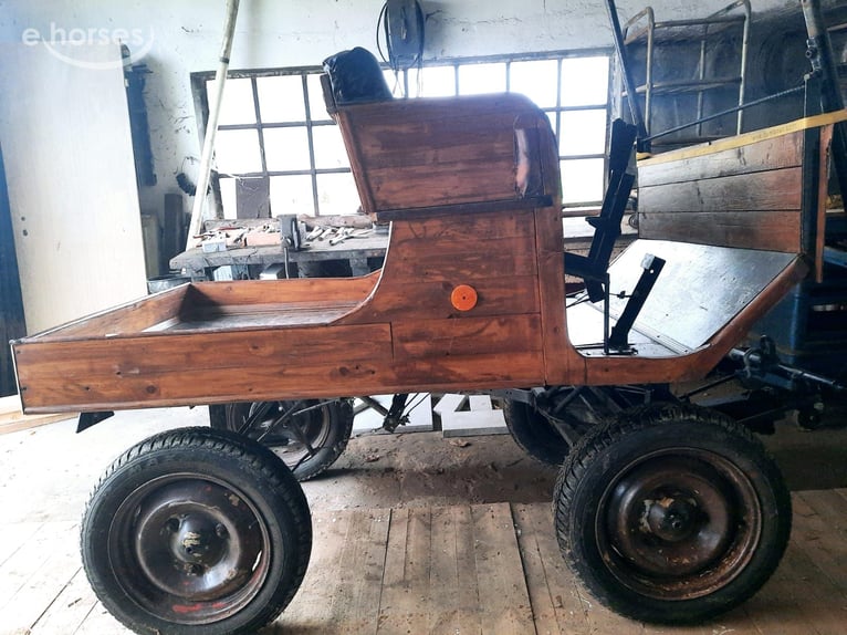 Pony/klein paard voor de koets (aangespannen rijden)