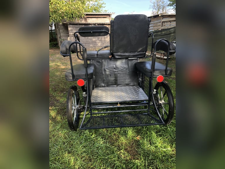 Shetty-pony koets voor marathonritten