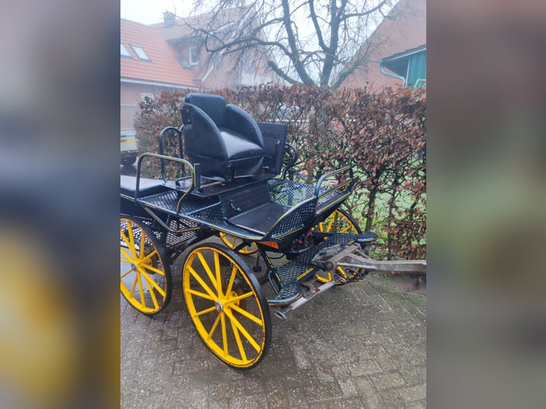 Stabiler Marathonwagen Kutsche für Endmaßpony 