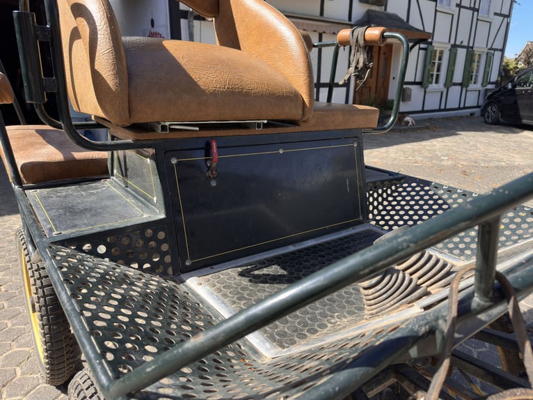 Veelzijdige koets – 1- of 2-spanning – inclusief accessoires!