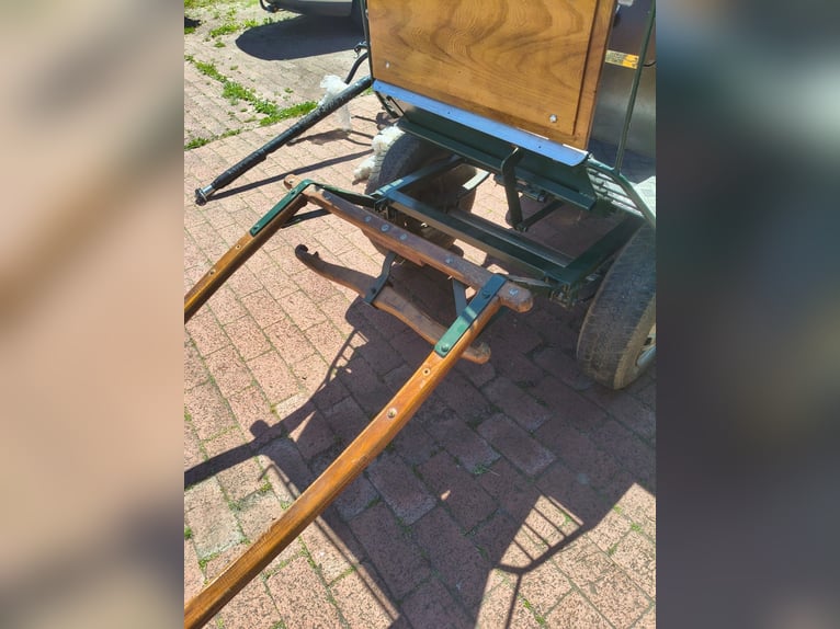 Wagonette - kleine knuffige Kutsche für Shetlandpony oder kleines Pony