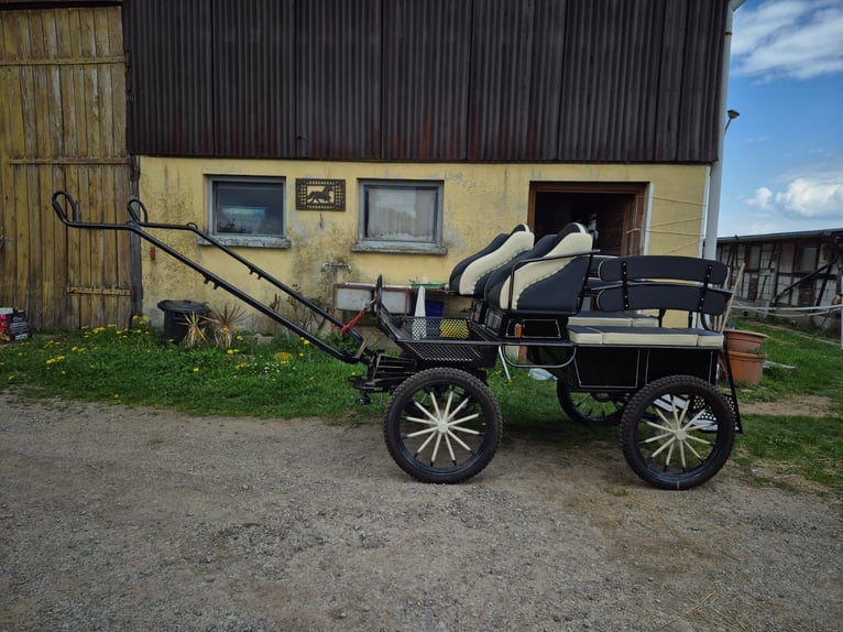 Koets, marathonkoets, rijwagen voor rijlessen, ponykoets, paardenkoets