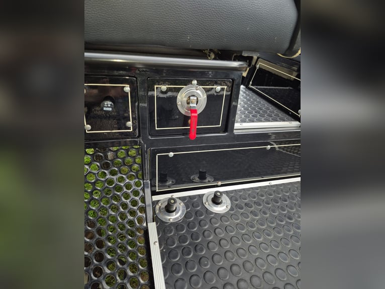 Koets, marathonkoets, rijwagen voor rijlessen, ponykoets, paardenkoets