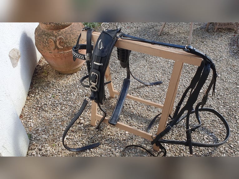 Harness, single harness