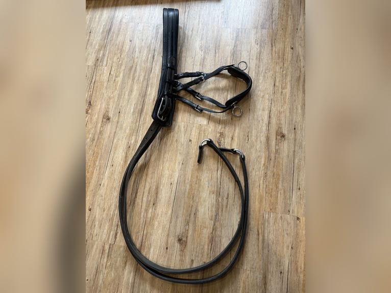 Hermanos Gomez koetsen tuig, enkelspanner tuig